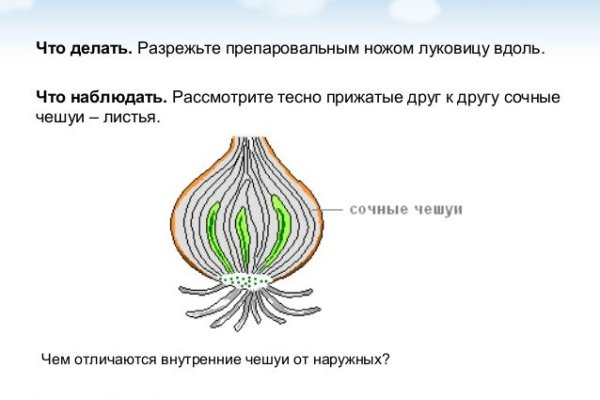 Кракен даркмаркет плейс официальный сайт